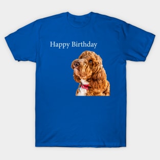 Cockapoo Happy birthday T-Shirt